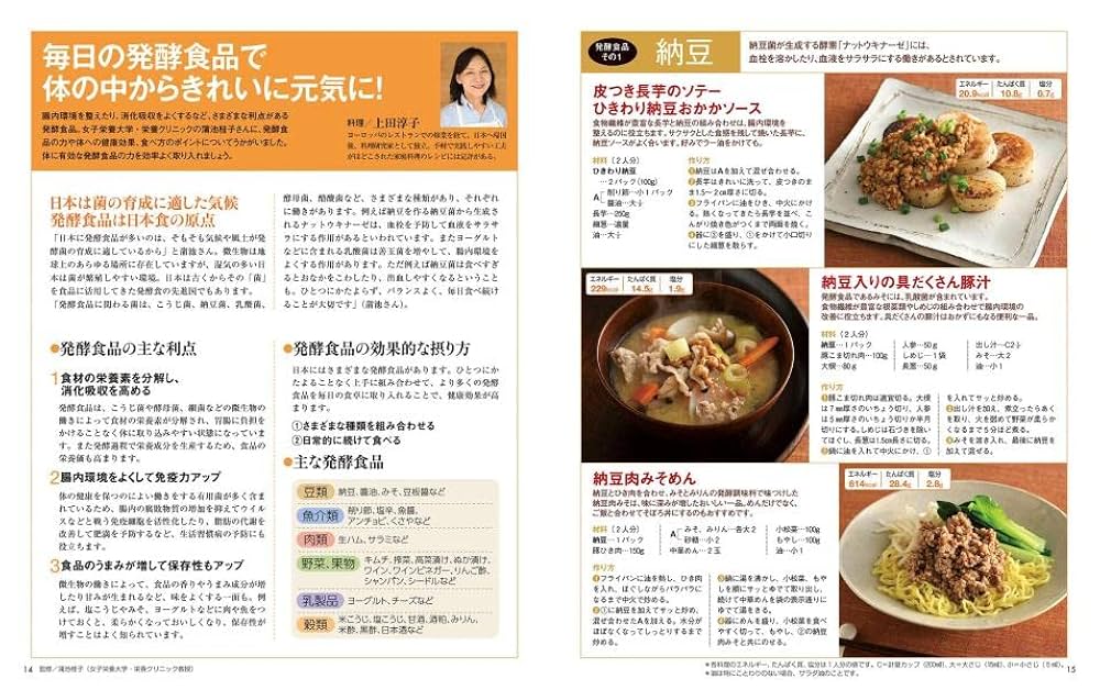 講談社版 2023お料理家計簿 (講談社MOOK) | 講談社 |本 | 通販